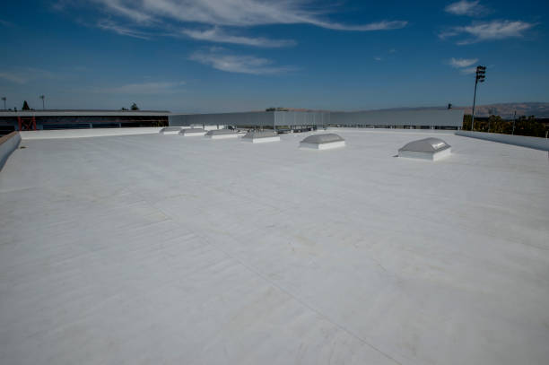 Best Skylight Installation and Repair  in Atlanta, GA